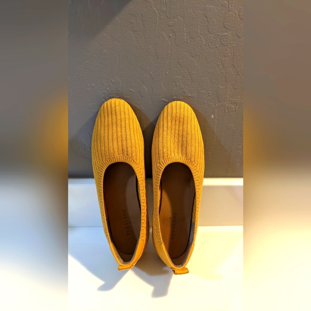Everlane flats